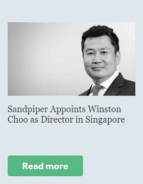 Sandpiper Appoints Winston Choo as Director in Singapore