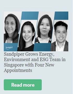 Sandpiper Grows Energy, Environment and ESG Team in Singapore with Four New Appointments