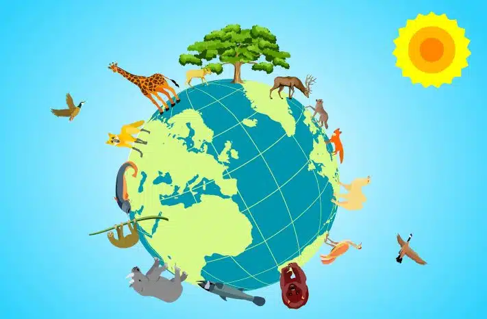 The Black Box in Biodiversity Communications