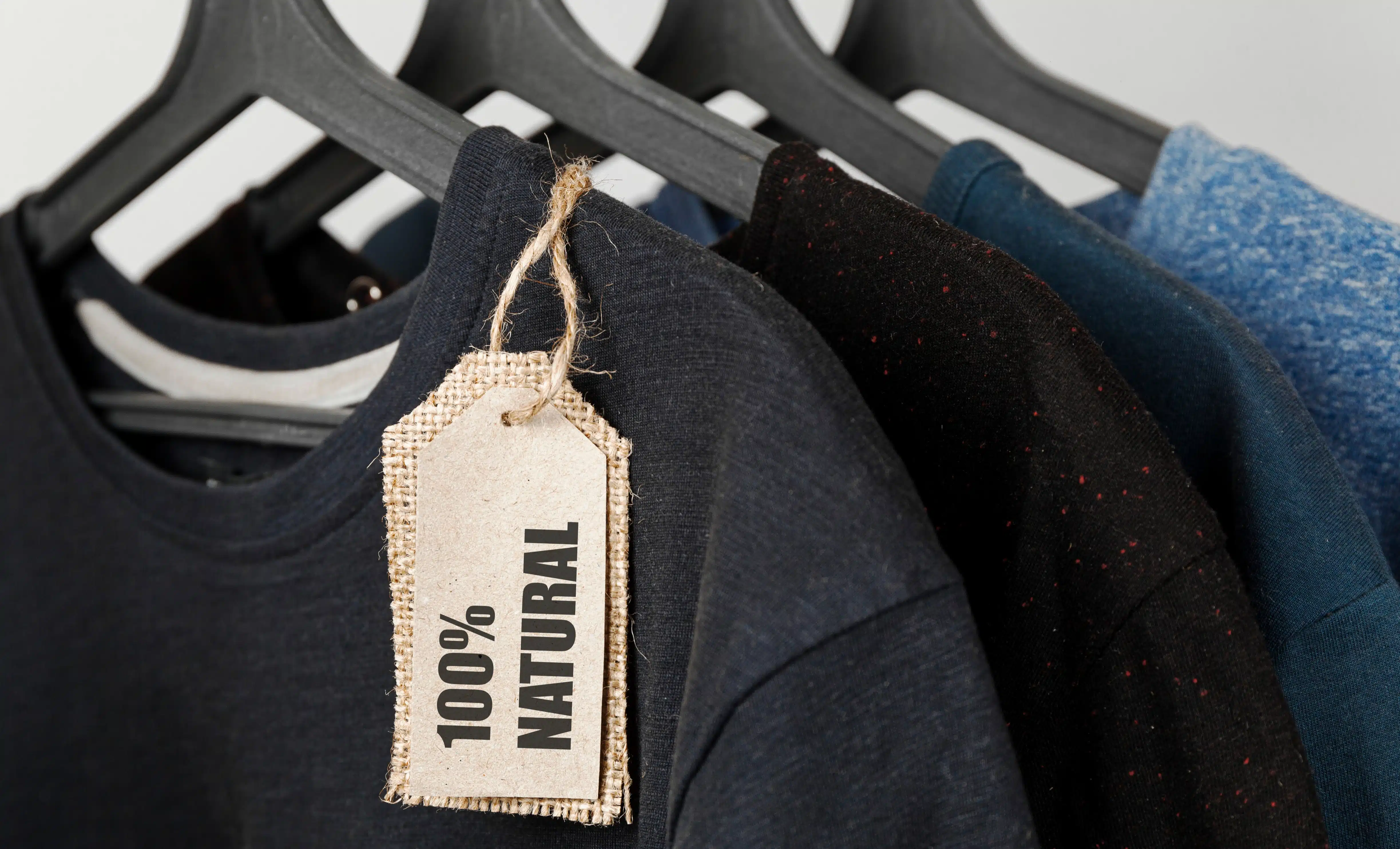 Fashion vs Sustainability: The Fast and The Spurious
