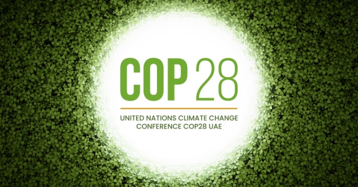The Half-Way Mark: What Can We Expect from COP28?
