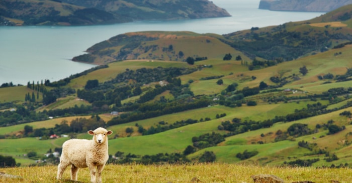 Making Business Sense of the NZ Climate Standards