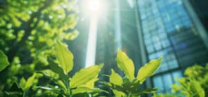 Businesses Can’t Afford to Wait in a Sustainability Policy Limbo 