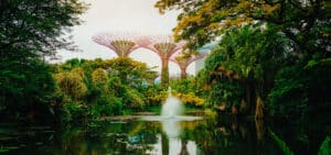 Climate finance has a communications problem: Insights from Ecosperity Week 2026